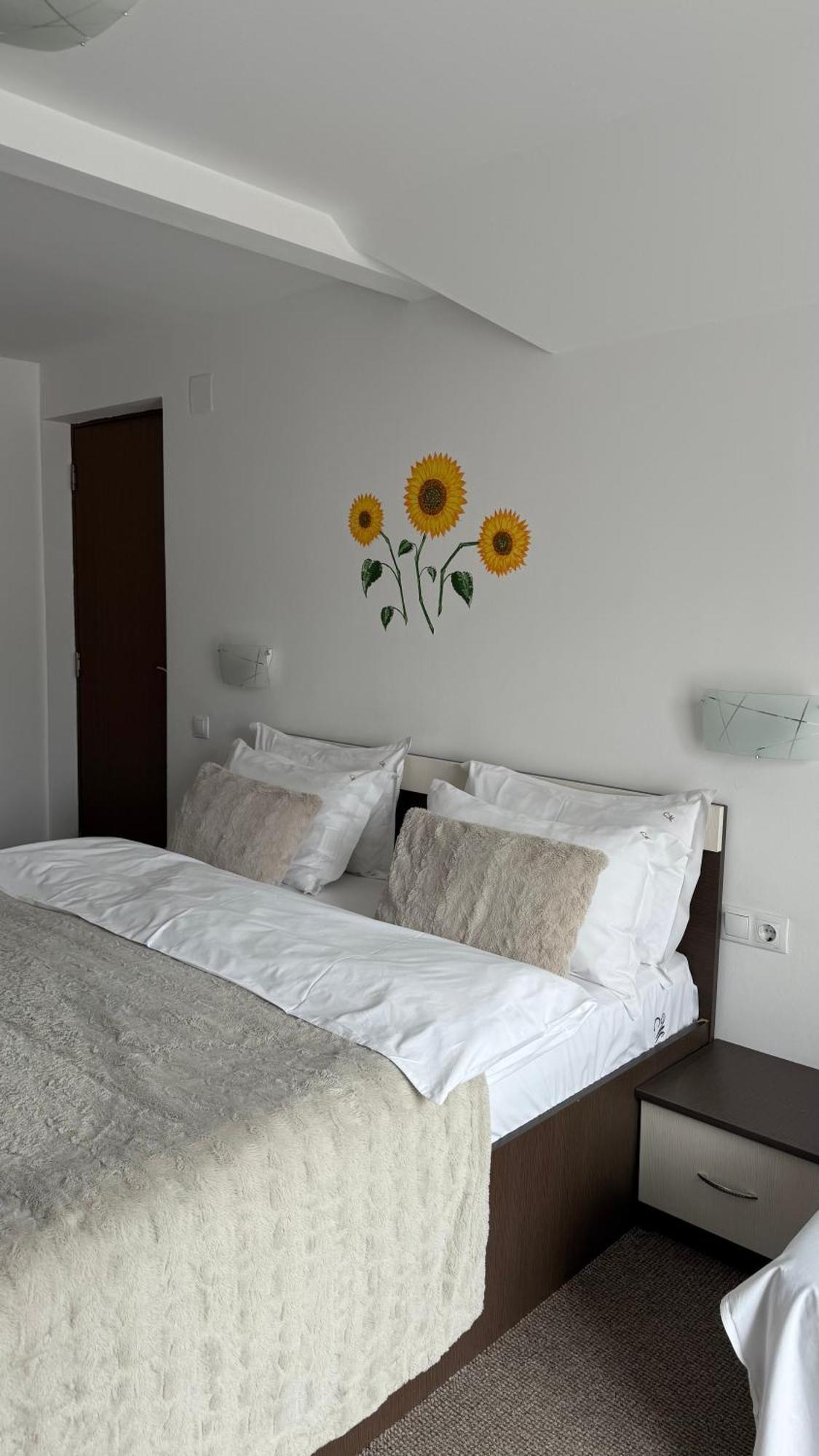 Casa Mia Otel Moeciu De Sus Dış mekan fotoğraf